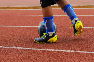 中国青少年篮球运动员身体机能发展研究，我国篮球青少年运动发展现状